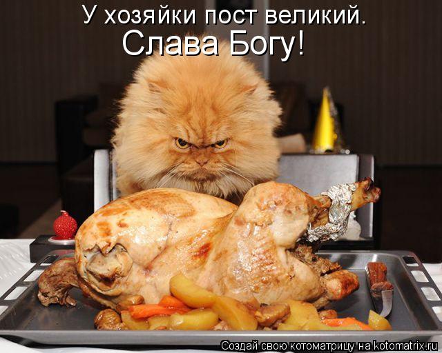 У хозяйки пост великий. Слава Богу!... Котоматрица: У хозяйки пост великий. Слава Богу!