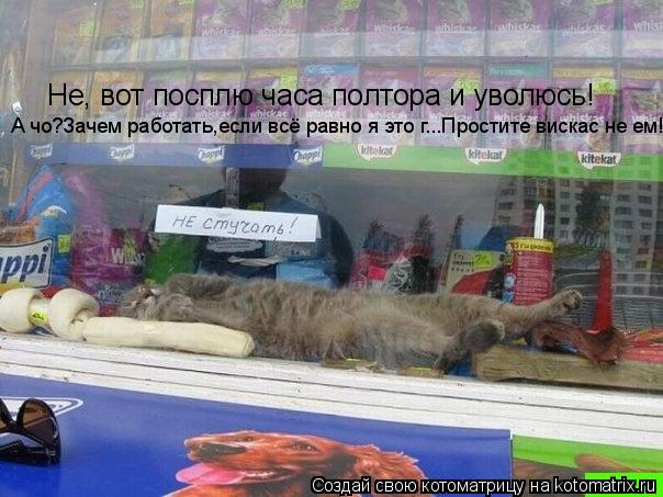 Не, вот посплю часа полтора и уволюсь! А чо?Зачем работать,если всё равно я это г...Простите вискас н... Котоматрица: Не, вот посплю часа полтора и уволюсь! А чо?Зачем работать,если всё равно я это г...Простите вискас не ем!