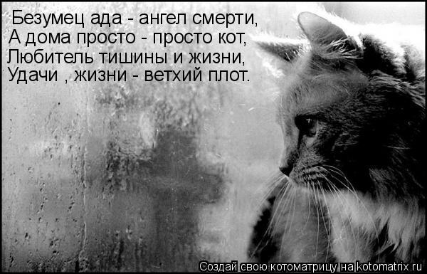 Безумец ада - ангел смерти, А дома просто - просто кот, Любитель тишины и жизни, Удачи , жизни - ветх... Котоматрица: Безумец ада - ангел смерти, А дома просто - просто кот, Любитель тишины и жизни, Удачи , жизни - ветхий плот.