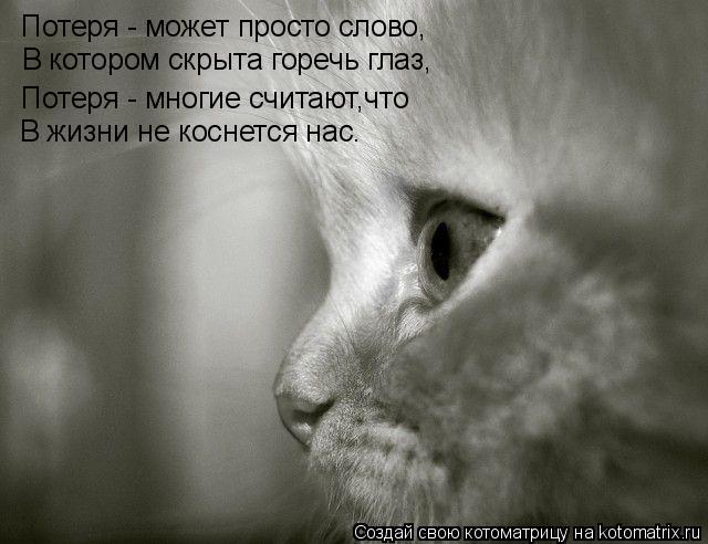 В котором скрыта горечь глаз, В жизни не коснется нас. Потеря - может просто слово, Потеря - многие с... Котоматрица: В котором скрыта горечь глаз, В жизни не коснется нас. Потеря - может просто слово, Потеря - многие считают,что