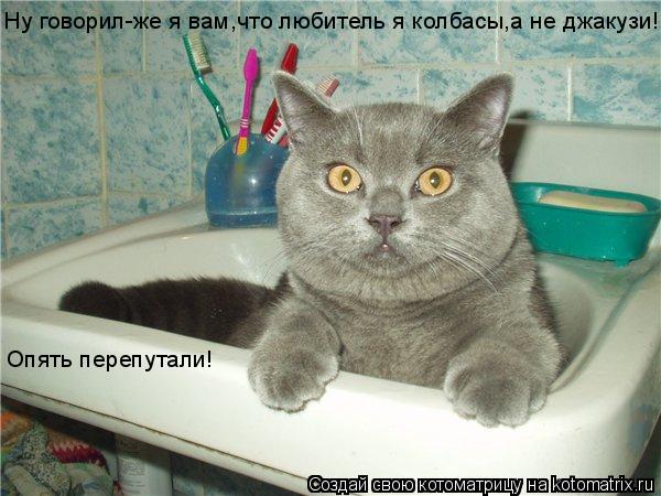 Ну говорил-же я вам,что любитель я колбасы,а не джакузи! Опять перепутали!... Котоматрица: Ну говорил-же я вам,что любитель я колбасы,а не джакузи! Опять перепутали!