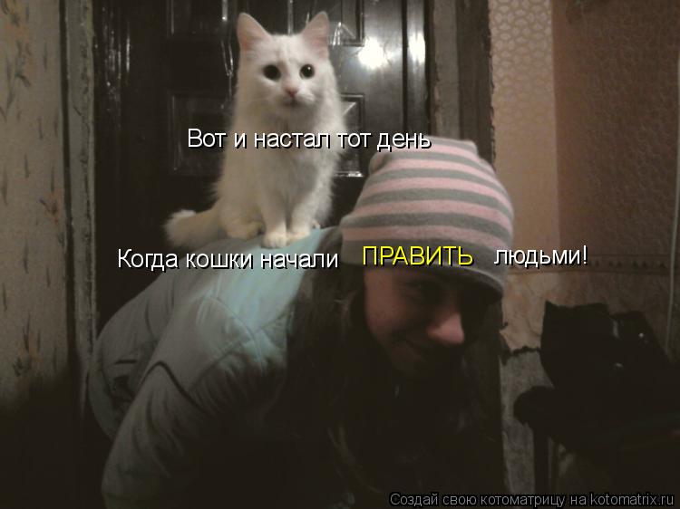 Вот и настал тот день Когда кошки начали ПРАВИТЬ людьми!... Котоматрица: Вот и настал тот день Когда кошки начали ПРАВИТЬ людьми!