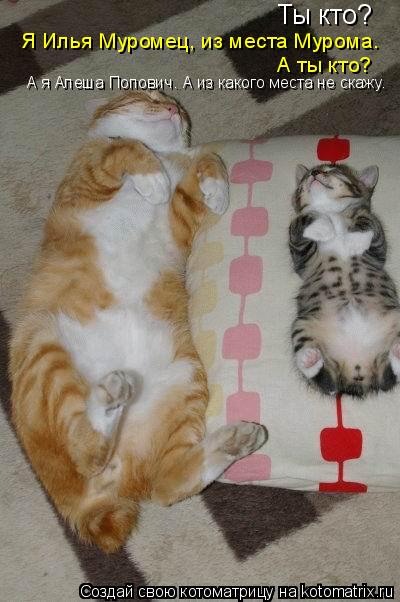 Котоматрица: Ты кто? Я Илья Муромец, из места Мурома. А ты кто? А я Алеша Попович. А я Алеша Попович. А из какого места не скажу.