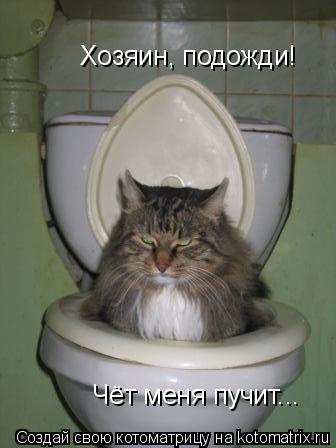 Хозяин, подожди! Чёт меня пучит...... Котоматрица: Хозяин, подожди! Чёт меня пучит...