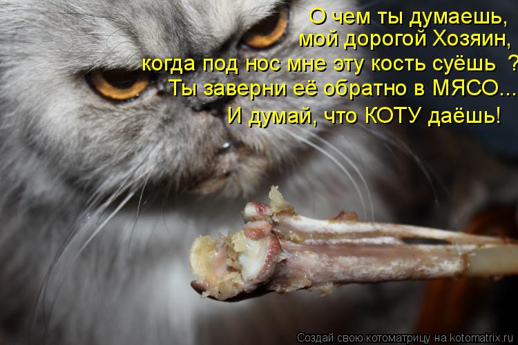 О чем ты думаешь, мой дорогой Хозяин, когда под нос мне эту кость суёшь ? И думай, что КОТУ даёшь! Т... Котоматрица: О чем ты думаешь, мой дорогой Хозяин, когда под нос мне эту кость суёшь ? И думай, что КОТУ даёшь! Ты заверни её обратно в МЯСО...