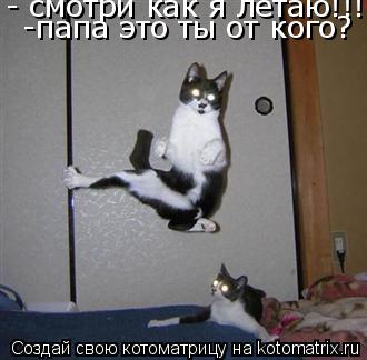 - смотри как я летаю!!! -папа это ты от кого?... Котоматрица: - смотри как я летаю!!! -папа это ты от кого?