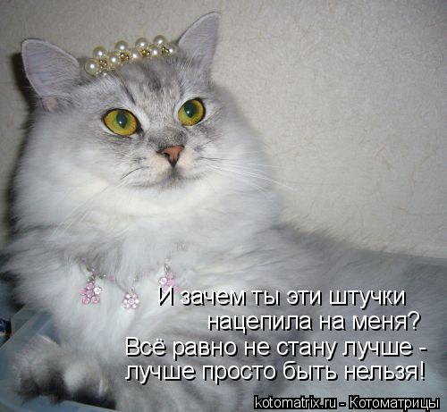 лучше просто быть нельзя! Всё равно не стану лучше - нацепила на меня? И зачем ты эти штучки... Котоматрица: лучше просто быть нельзя! Всё равно не стану лучше - нацепила на меня? И зачем ты эти штучки