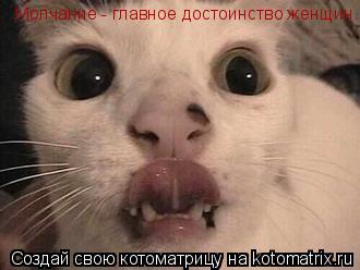 Молчание - главное достоинство женщин.... Котоматрица: Молчание - главное достоинство женщин.