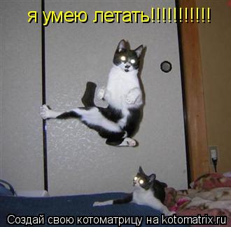 я умею летать!!!!!!!!!!!... Котоматрица: я умею летать!!!!!!!!!!!