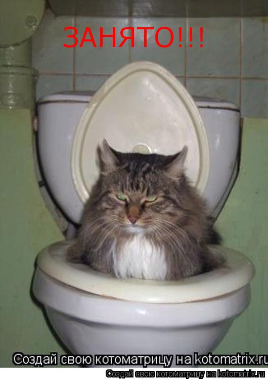 ЗАНЯТО!!!... Котоматрица: ЗАНЯТО!!!