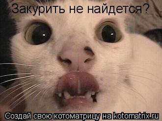 Закурить не найдется?... Котоматрица: Закурить не найдется?