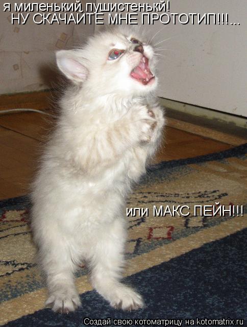я миленький пушистенькй! НУ СКАЧАЙТЕ МНЕ ПРОТОТИП!!! ... или МАКС ПЕЙН!!!... Котоматрица: я миленький пушистенькй! НУ СКАЧАЙТЕ МНЕ ПРОТОТИП!!! ... или МАКС ПЕЙН!!!