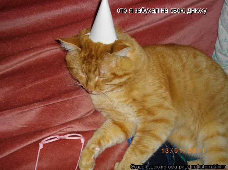ото я забухал на свою днюху... Котоматрица: ото я забухал на свою днюху