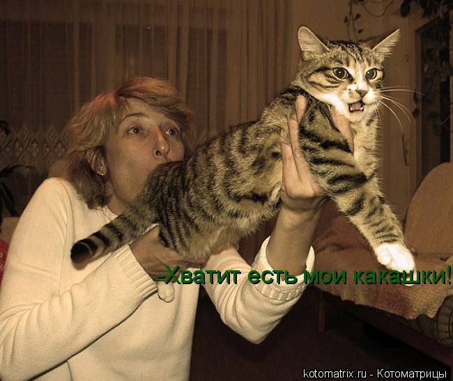-Хватит есть мои какашки!... Котоматрица: -Хватит есть мои какашки!