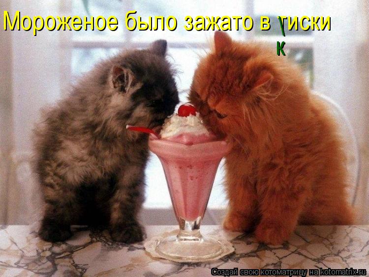 Мороженое было зажато в тиски \ к... Котоматрица: Мороженое было зажато в тиски \ к