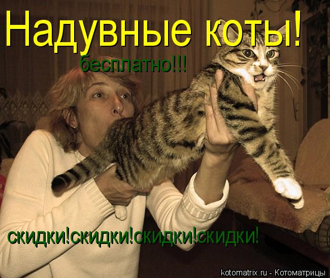 Надувные коты! скидки!скидки!скидки!скидки! бесплатно!!!... Котоматрица: Надувные коты! скидки!скидки!скидки!скидки! бесплатно!!!