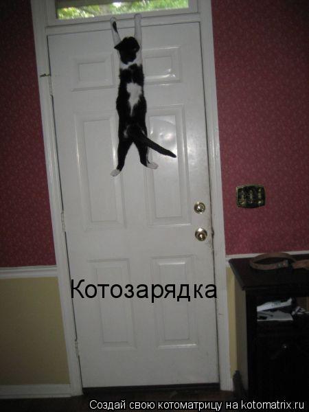 Котоматрица: Котозарядка