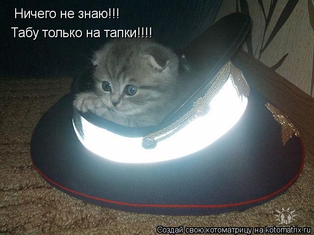 Ничего не знаю!!! Табу только на тапки!!!!... Котоматрица: Ничего не знаю!!! Табу только на тапки!!!!