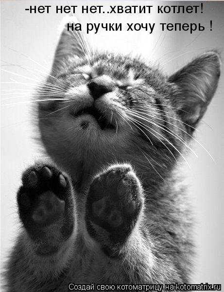 -нет нет нет..хватит котлет! на ручки хочу теперь !... Котоматрица: -нет нет нет..хватит котлет! на ручки хочу теперь !
