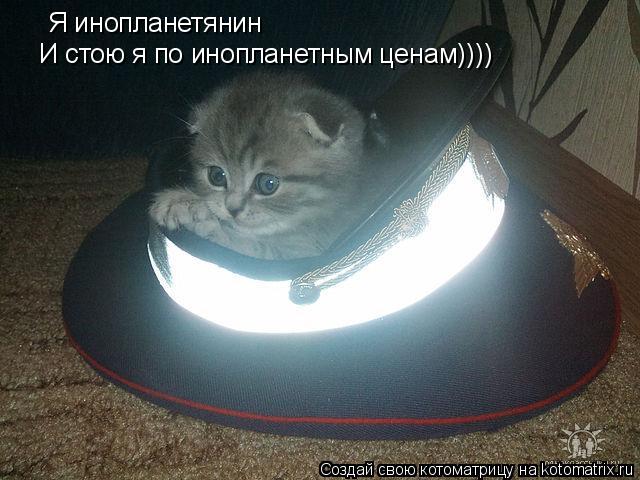 Я инопланетянин И стою я по инопланетным ценам))))... Котоматрица: Я инопланетянин И стою я по инопланетным ценам))))