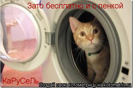 Зато бесплатно и с пенкой КаРуСеЛь... Котоматрица: Зато бесплатно и с пенкой КаРуСеЛь