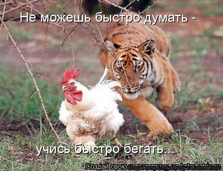 Не можешь быстро думать - учись быстро бегать...... Котоматрица: Не можешь быстро думать - учись быстро бегать...