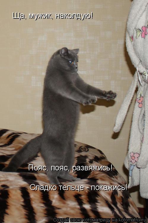 Котоматрица: Ща, мужик, наколдую! Пояс, пояс, развяжись! Сладко тельце - покажись!