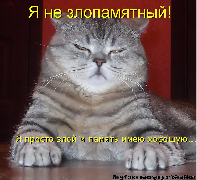 Я просто злой и память имею хорошую... Я не злопамятный!... Котоматрица: Я просто злой и память имею хорошую... Я не злопамятный!