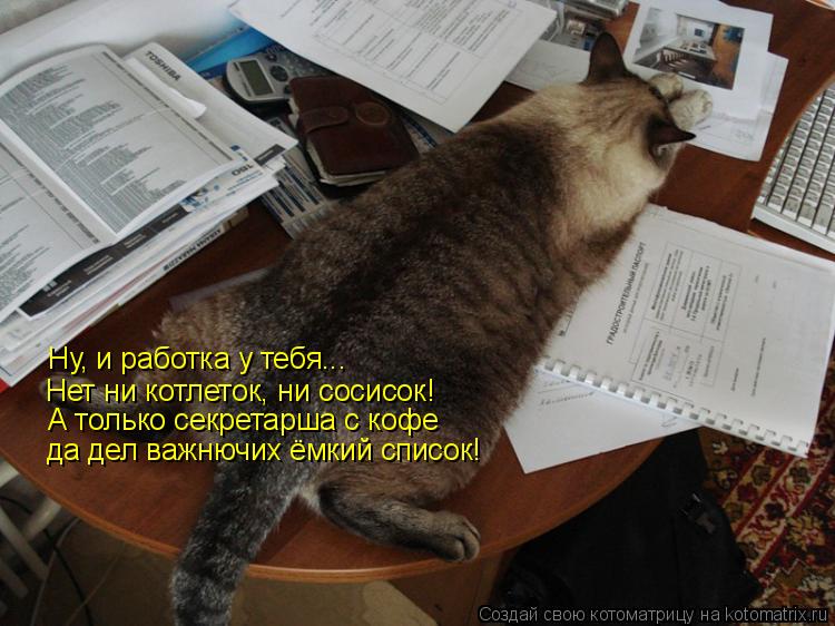 Ну, и работка у тебя... Нет ни котлеток, ни сосисок! А только секретарша с кофе да дел важнючих ёмки... Котоматрица: Ну, и работка у тебя... Нет ни котлеток, ни сосисок! А только секретарша с кофе да дел важнючих ёмкий список!