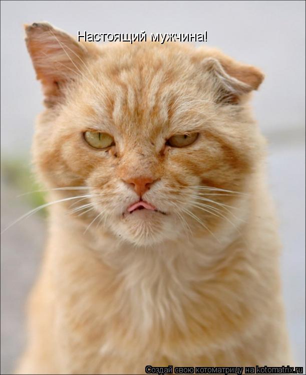 Настоящий мужчина!... Котоматрица: Настоящий мужчина!