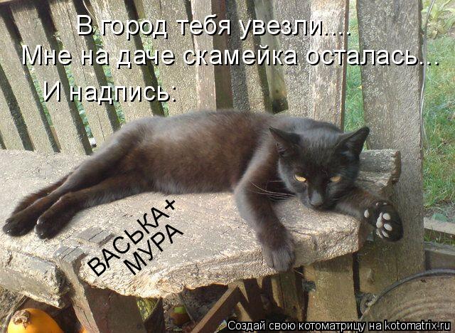 Котоматрица: В город тебя увезли.... Мне на даче скамейка осталась... И надпись: ВАСЬКА+ МУРА