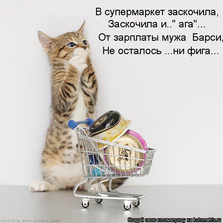 Котоматрица: В супермаркет заскочила, Заскочила и.." ага"... От зарплаты мужа  Барси, Не осталось ...ни фига...