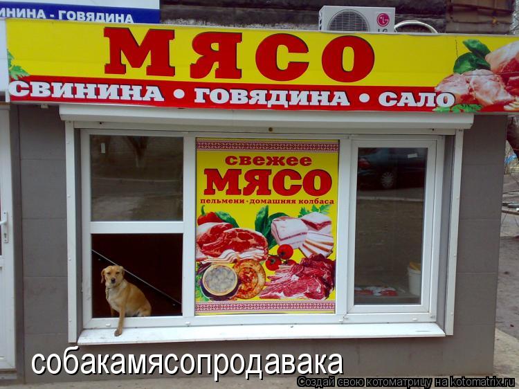 собакамясопродавака... Котоматрица: собакамясопродавака