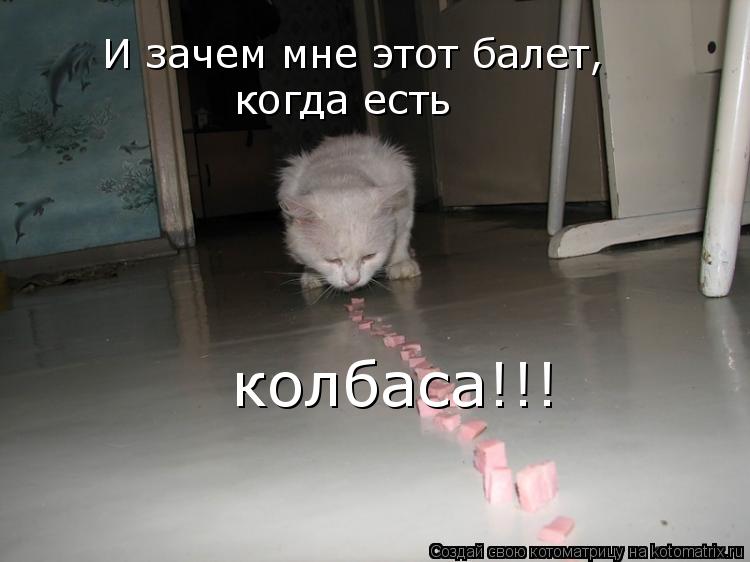 И зачем мне этот балет, когда есть колбаса!!!... Котоматрица: И зачем мне этот балет, когда есть колбаса!!!