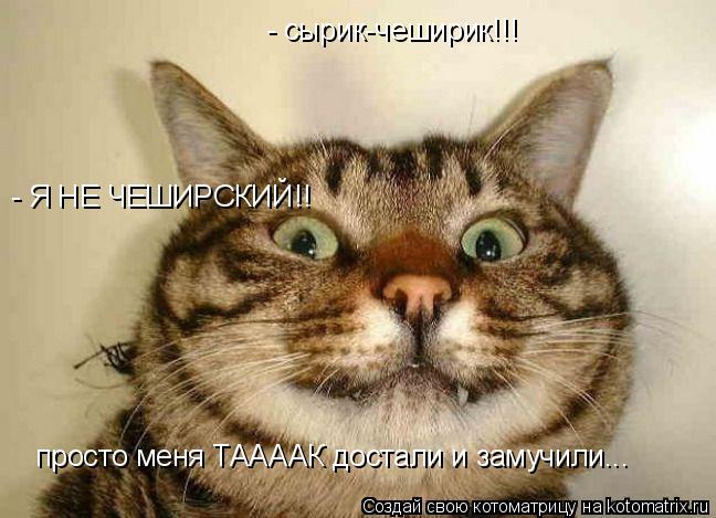 - сырик-чеширик!!! - Я НЕ ЧЕШИРСКИЙ!! просто меня ТААААК достали и замучили...... Котоматрица: - сырик-чеширик!!! - Я НЕ ЧЕШИРСКИЙ!! просто меня ТААААК достали и замучили...