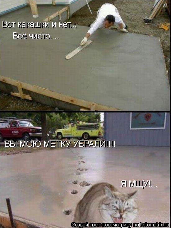 Вот какашки и нет... Всё чисто.... ВЫ МОЮ МЕТКУ УБРАЛИ!!!! Я МЩУ!...... Котоматрица: Вот какашки и нет... Всё чисто.... ВЫ МОЮ МЕТКУ УБРАЛИ!!!! Я МЩУ!...