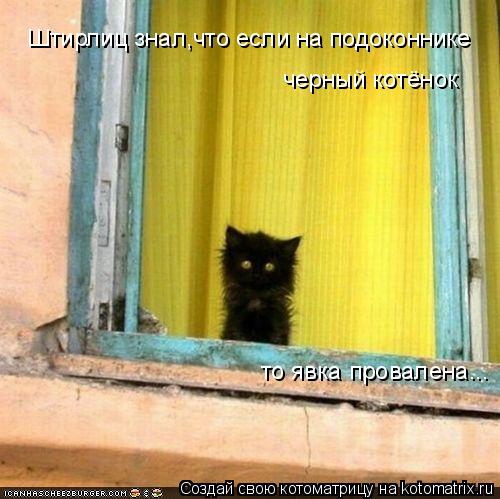 Штирлиц знал,что если на подоконнике черный котёнок то явка провалена...... Котоматрица: Штирлиц знал,что если на подоконнике черный котёнок то явка провалена...