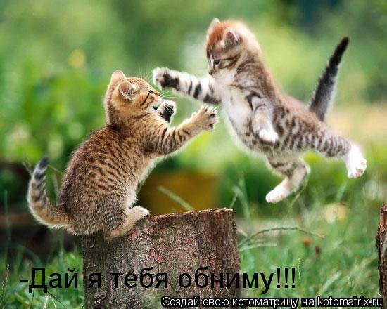 -Дай я тебя обниму!!!... Котоматрица: -Дай я тебя обниму!!!