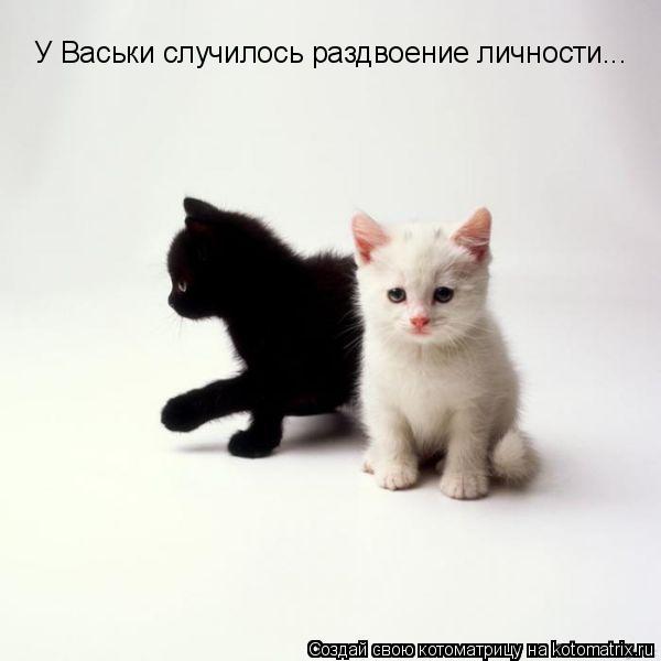 У Васьки случилось раздвоение личности...... Котоматрица: У Васьки случилось раздвоение личности...
