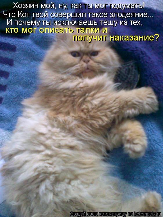 Хозяин мой, ну, как ты мог подумать! Что Кот твой совершил такое злодеяние... И почему ты исключаешь ... Котоматрица: Хозяин мой, ну, как ты мог подумать! Что Кот твой совершил такое злодеяние... И почему ты исключаешь тёщу из тех, кто мог описать тапки и полу