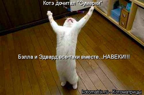 Котэ дочитал "Сумерки" Бэлла и Эдвард все-таки вместе...НАВЕКИ!!!... Котоматрица: Котэ дочитал "Сумерки" Бэлла и Эдвард все-таки вместе...НАВЕКИ!!!