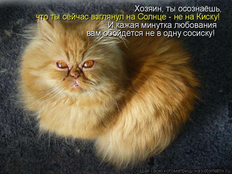 Хозяин, ты осознаёшь, что ты сейчас взглянул на Солнце - не на Киску! И кажая минутка любования вам ... Котоматрица: Хозяин, ты осознаёшь, что ты сейчас взглянул на Солнце - не на Киску! И кажая минутка любования вам обойдётся не в одну сосиску!