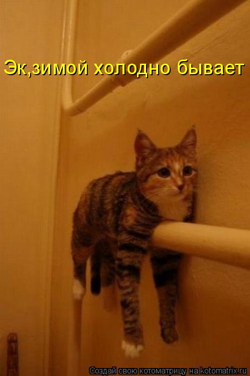 Эк,зимой холодно бывает... Котоматрица: Эк,зимой холодно бывает