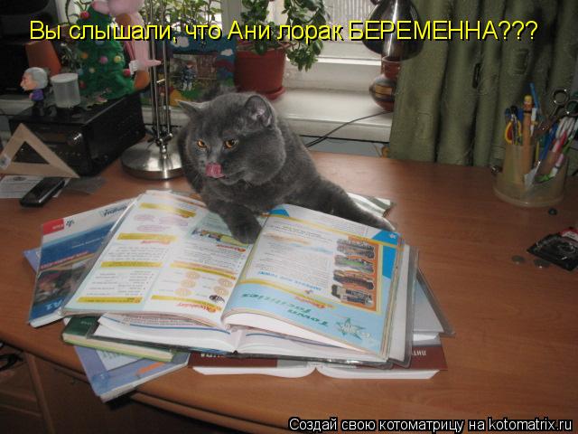 Вы слышали, что Ани лорак БЕРЕМЕННА???... Котоматрица: Вы слышали, что Ани лорак БЕРЕМЕННА???