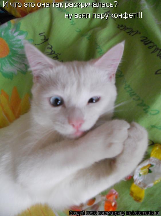 И что это она так раскричалась? ну взял пару конфет!!!... Котоматрица: И что это она так раскричалась? ну взял пару конфет!!!