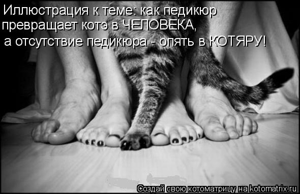 Иллюстрация к теме: как педикюр превращает котэ в ЧЕЛОВЕКА, а отсутствие педикюра - опять в КОТЯРУ!... Котоматрица: Иллюстрация к теме: как педикюр превращает котэ в ЧЕЛОВЕКА, а отсутствие педикюра - опять в КОТЯРУ!