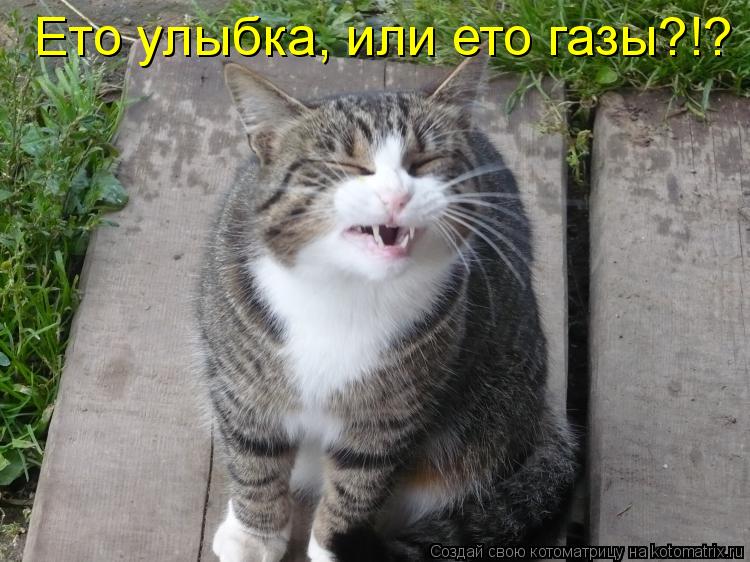 Ето улыбка, или ето газы?!?... Котоматрица: Ето улыбка, или ето газы?!?