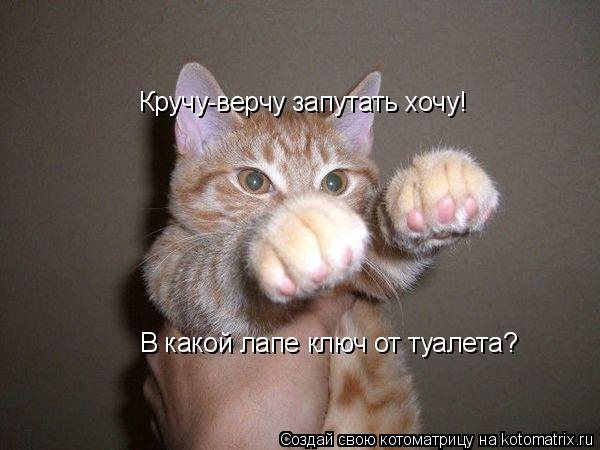 Кручу-верчу запутать хочу! В какой лапе ключ от туалета?... Котоматрица: Кручу-верчу запутать хочу! В какой лапе ключ от туалета?