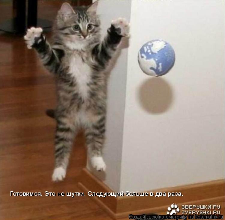 Готовимся. Это не шутки. Следующий больше в два раза.... Котоматрица: Готовимся. Это не шутки. Следующий больше в два раза.