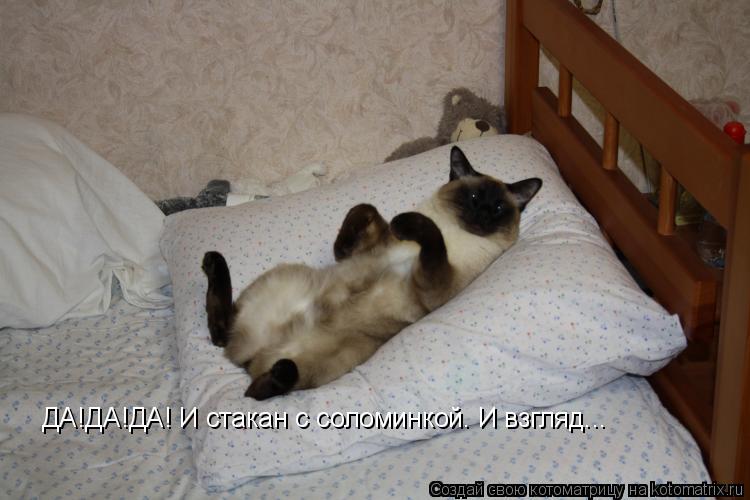 ДА!ДА!ДА! И стакан с соломинкой. И взгляд...... Котоматрица: ДА!ДА!ДА! И стакан с соломинкой. И взгляд...